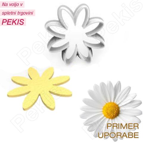 Modelček (1 delni) Srednja Marjetica Modelček (1 delni) Srednja Marjetica