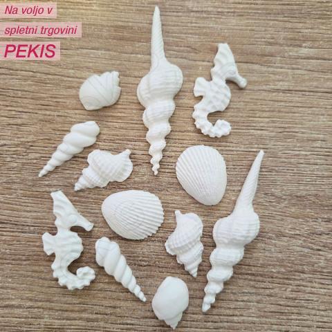 Sladkorne bele školjke (3-7cm) 12 kom