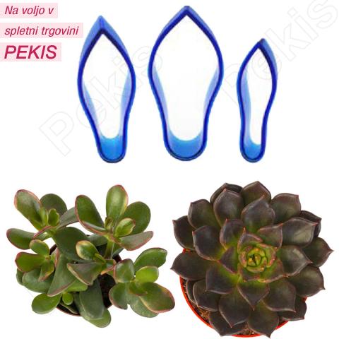 Modelčki (3 delni) Sukulenta Modelčki (3 delni) Sukulenta