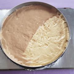 Torta z dvema biskvitoma pol/pol (pol temen in pol bel biskvit)