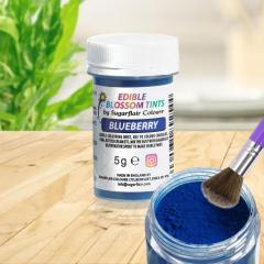Blossom Tint Blueberry (Borovnica) izjemno fin prah Sugarflair