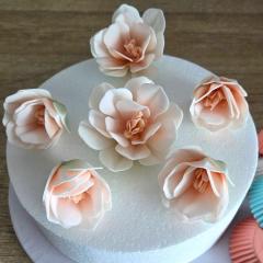 Wafer bele Magnolije (6-9cm) 6 kom