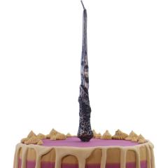Svečka za torto (Ron Weasley) čarobna palica