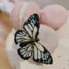 Silikonski Modelček elegantni metuljčki, Katy Sue