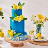 Fondant (250g) MORSKO MODER
