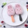 Model za domače sladoledne zajčke na palčki – igriva poletna sladica doma